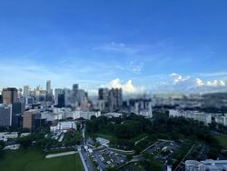 The Regency At Tiong Bahru (D3), Condominium #599239001